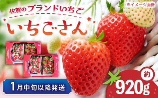 【先行予約 1月中旬以降順次発送】【佐賀のブランドいちご】いちごさん 約920g（約230g×4p）/中村青果店 [UDK009] 2296018 - 佐賀県武雄市
