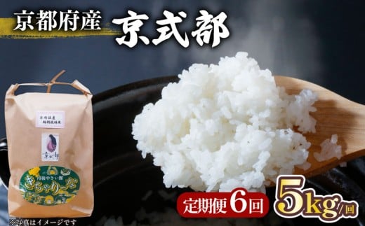 【令和7年産 新米】 定期便 全6回 京都府産 京式部 5kg 米 こめ 白米 国産 ブランド米 取り寄せ 京都 ごはん 6か月 6ヶ月 2025年産 JA JA京都 京都府産 京都府 コシヒカリを基準米としたお米