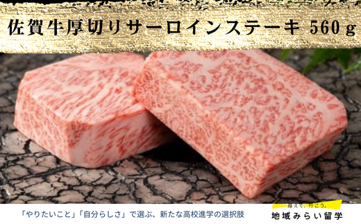 A4 A5 佐賀牛厚切りサーロインステーキ560g