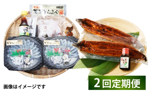  【2回定期便】【極】季節めぐり定期便2 ふぐ フグ 河豚 とらふぐ トラフグ てっさ てっちり うなぎ ウナギ 鰻 熊本県 上天草市 2297419 - 熊本県上天草市