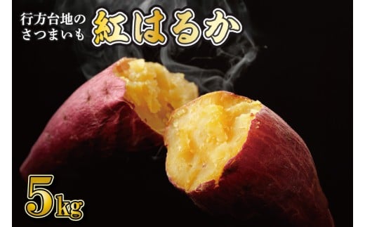 【2025年12月より順次発送】★訳あり★ 無選別 行方台地のさつまいも 紅はるか 約5kg｜訳あり ワケアリ 訳アリ さつまいも サツマイモ さつま芋 紅はるか 無選別 べにはるか 行方市 ふるさと納税(CU-317) 1434916 - 茨城県行方市
