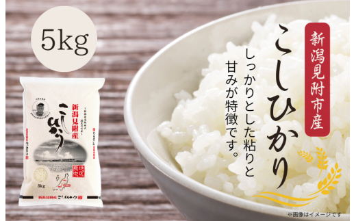 令和7年産 新潟見附市産コシヒカリ5kg 2261814 - 新潟県見附市