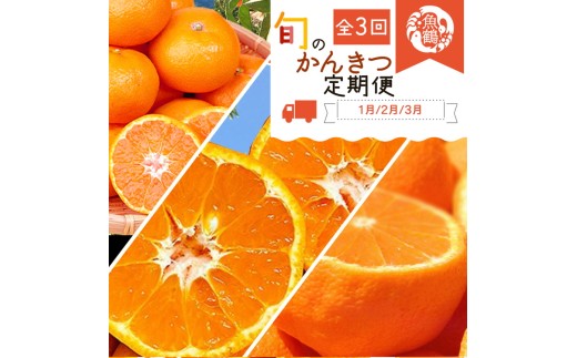 [定期便][1・2・3月 全3回]紀州和歌山産旬のフルーツセット(みかん・不知火・せとか)