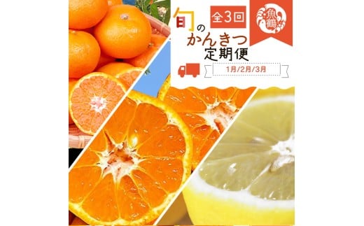 [定期便][1・2・3月 全3回]紀州和歌山産旬のフルーツセット(みかん・不知火・レモン)