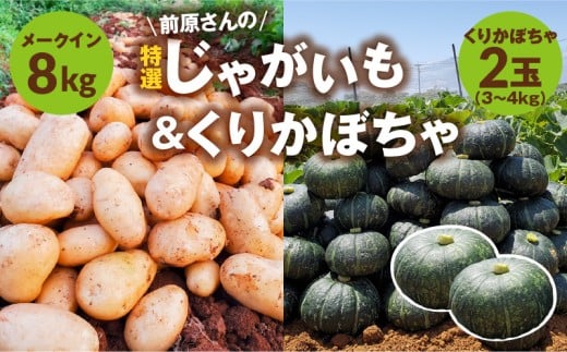 [2026年先行予約]前原さんの特選 じゃがいも メークイン 8kg&くりかぼちゃ 2玉 C062-T05