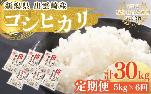 【令和7年産新米】 特別栽培米 新潟県産 コシヒカリ 定期便 5kg 6か月 出雲崎町産 「天領の里」白米 精米 お米 合計30kg　 2302761 - 新潟県出雲崎町