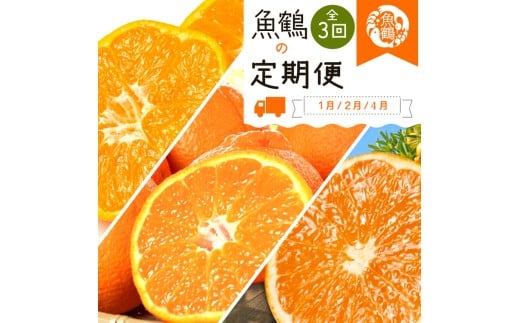 [定期便][1・2・4月 全3回]紀州和歌山産旬の柑橘セット(みかん・不知火・清見)
