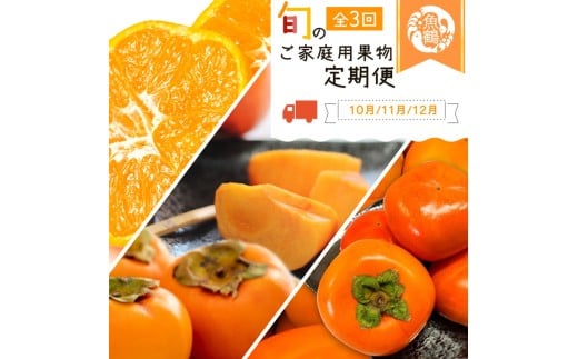 [定期便][10・11・12月 全3回]紀州和歌山産旬のご家庭用果物セット(ひらたね・富有柿・みかん)