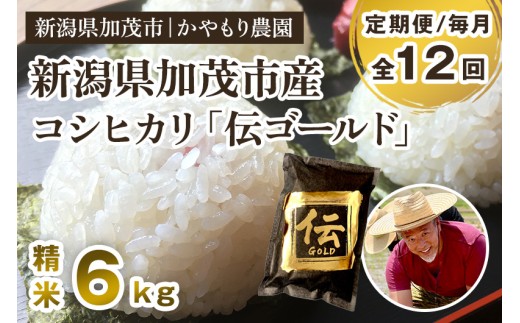 【令和7年産新米】【定期便12回毎月お届け】新潟産コシヒカリ「伝ゴールド」白米真空パック 精米 6kg（1.5kg×4）《9月下旬から順次出荷》 南麻布の高級料亭で提供される極上米 かやもり農園 2296824 - 新潟県加茂市
