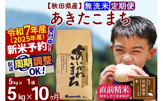 ※令和7年産 新米予約※《定期便10ヶ月》秋田県産 あきたこまち 5kg【無洗米】(5kg小分け袋) 2025年産 お届け時期選べる お届け周期調整可能 隔月に調整OK お米 藤岡農産