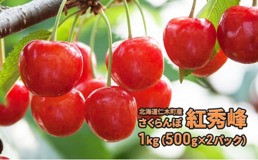 先行受付 北海道 仁木町産さくらんぼ 紅秀峰 1kg(500g×2パック) 旬の果物 デザート サクランボ チェリー フルーツ 果物 果物類 仁木町 仁木 [JA新おたる]