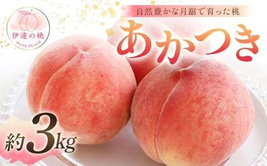 【2026年出荷分先行予約】福島県産 あかつき 約3kg (9～12玉) 森果樹園 自然豊かな月舘で育った桃 伊達の桃 桃 フルーツ 果物 もも モモ momo F21C-053 1996750 - 福島県伊達市