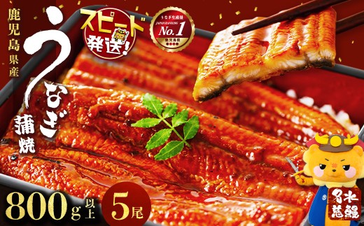 【志布志市制20周年記念】【数量限定】国産うなぎ蒲焼名水慈鰻5尾（合計800ｇ以上） うなぎ 鰻 ウナギ 5尾 国産 蒲焼 かばやき 冷凍 真空 真空パック 無頭 うな重 ひつまぶし タレ 山椒 b98-001 426531 - 鹿児島県志布志市