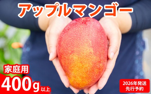 【2026年発送先行予約】アップルマンゴー優品400g以上 沖縄 おきなわ まんごー 自分用 名護市 先行予約 ふるさと納税 送料無料 甘味 糖度 おいしい お土産 アーウィン 果物 くだもの 果実 400グラム スイーツ 食べ物 フルーツ 1545022 - 沖縄県名護市