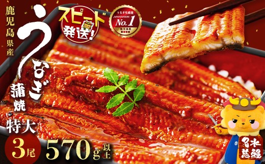 鹿児島県産うなぎ蒲焼 名水慈鰻 特大3尾(1尾190g以上)＜計570g以上＞　うなぎ 鰻 ウナギ 3尾 国産 蒲焼 かばやき 冷凍 真空 真空パック 無頭 うな重 ひつまぶし タレ 山椒 b1-023 425283 - 鹿児島県志布志市