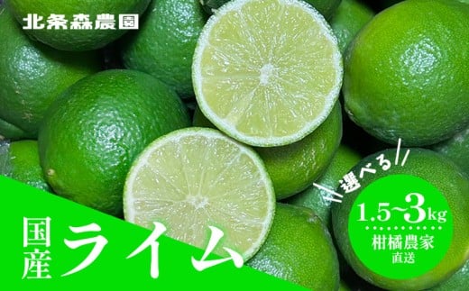 さわやか果実 ライム 約1.5kg〜約3kg | ライム みかん 柑橘 国産ライム ジュース カクテル スイーツ サラダ 愛媛 松山 北条 果物 フルーツ 産地直送