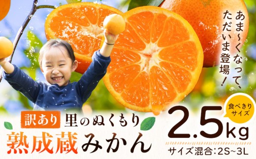 訳あり 熟成みかん 2.5kg 《1月上旬-3月上旬出荷》徳島 柑橘 ミカン 蜜柑 フルーツ 青果物 お試し 徳島県 佐那河内村