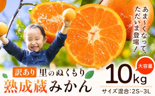 訳あり 熟成みかん 10kg 《1月上旬-3月上旬出荷》徳島 柑橘 ミカン 蜜柑 フルーツ 青果物 大容量 徳島県 佐那河内村