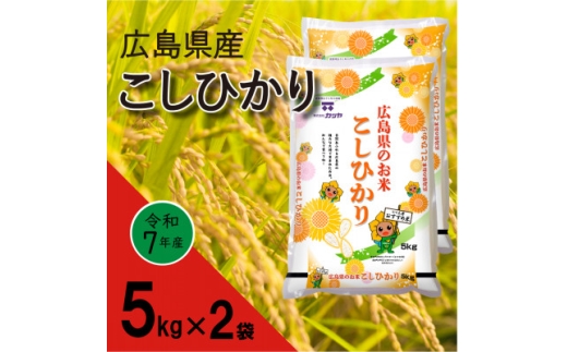 広島県産コシヒカリ　10kg【1254827】 780002 - 広島県海田町