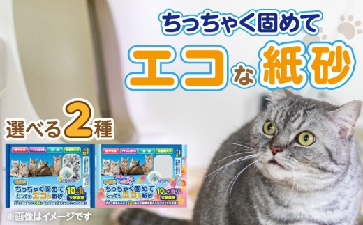 ちっちゃく固めてエコな紙砂 _ 紙砂 選べる セット内容 大家族用 11L×5袋 フローラルの香り 10L×5袋 猫用 主原料 再生紙 環境に優しい 猫砂 小さく 固まる 色 変わる 粉立ち 少ない 燃えるゴミ 処理 簡単 愛猫 猫 日用品 消耗品 ペット用品 福岡県 久留米市 送料無料 _Qx085-sku