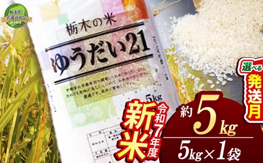 【12月発送】ゆうだい21 5kg 【栃木県共通返礼品】 | 米 こめ コメ kome 白米 精米 お米 ゆうだい ユウダイ ﾕｳﾀﾞｲ 新米 栃木米 大粒 粘り 甘み お弁当 おにぎり 令和7年度米 令和7年度 2025年度米 2025年度 ブランド米 栃木県 特産品 送料無料 栃木県 下野市 しもつけ市 2297094 - 栃木県下野市
