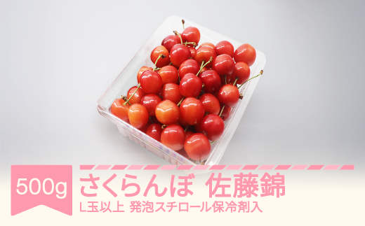 【先行予約】さくらんぼ 佐藤錦 2026年産 令和8年産 500g L玉以上 発泡スチロール保冷剤入  mo-snhax500 
