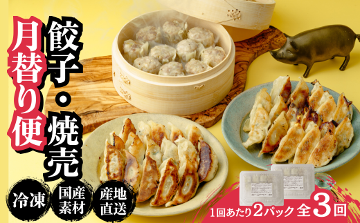 餃子・焼売【定期便全3回(連続)】冷凍餃子・ジャンボシューマイ 計100個| ギョーザ ギョウザ ぎょうざ 大粒 焼売 しゅうまい シュウマイ gyoza shuumai シューマイ シュウマイ しゅうまい レンチン おいしい 手軽 美味しい 国産 簡単 惣菜 北本フーズ 北本市