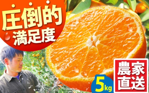 【2025年10月下旬〜発送】温州みかん 5kg / みかん ミカン 蜜柑 フルーツ 果物 みかん くだもの 柑橘 旬 果実 甘味 酸味 甘い mikan 産地直送 農家直送 数量限定 国産 先行予約 ご家庭用 ミカン ご当地 お返し ミカン 贈り物 人気 贈答用 家庭用 土産 手土産 みかん / 南島原市 / 蜜柑屋まつお [SCQ001] 498006 - 長崎県南島原市