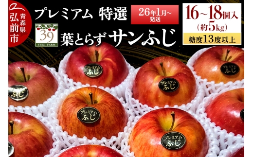 【26年1月～発送】りんご 【 数量限定 】糖度13度以上 「特選」プレミアム 葉とらずサンふじ 約 5kg 16～18個【レビューキャンペーン】 2292800 - 青森県弘前市
