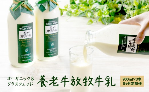 【定期便：全9回】オーガニック＆グラスフェッド養老牛放牧牛乳900ml×3本 | 有機牛乳 牛乳 放牧牛乳 低温殺菌 ノンホモ 牛乳 牧場 自然な風味 無添加 お腹にやさしい 乳製品 飲みやすい お取り寄せ 北海道 中標津町 中標津【1301601】