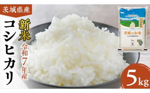 【 令和7年産 】 茨城県産 コシヒカリ 5kg 米 お米 コメ 白米 こしひかり 茨城県 精米 新生活 応援 新米 [DK001ci]