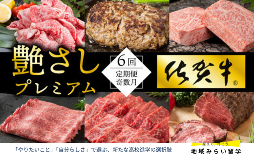[定期便セット]佐賀牛を隔月奇数月に6回お届け(しゃぶしゃぶすき焼き用・ローストビーフ・ハンバーグ・赤身・切り落とし・サーロイン)