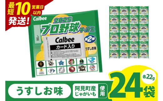 【10営業日以内に出荷】カルビー 2025プロ野球チップス 1袋（22g）×24袋｜Calbee お菓子 菓子 おやつ おかし ぽてち ポテチ スナック おつまみ ジャガイモ じゃがいも（93-112）
