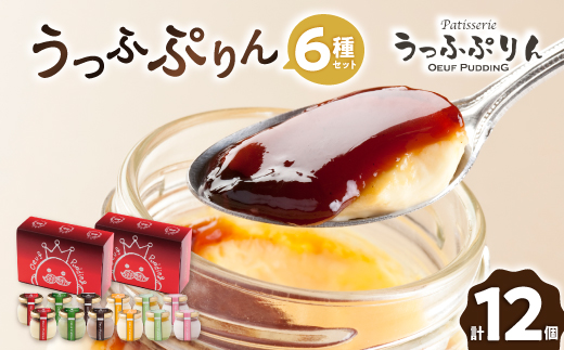 うっふぷりん6種セット　12個入【1259527】