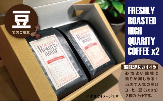 【酸味派におすすめ】エチオピア/モカ・イリガチェフェ＋タンザニア/キリマンジャロAA（豆）各200g コーヒー豆 珈琲 千葉市 [№5346-1541]