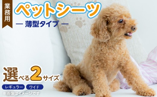 業務用 ペットシーツ スリム 選べる セット内容 ワイド 100枚入×3袋 レギュラー 200枚入×3袋 犬用 吸収力 消臭力 薄型 トイレトレーニングシーツ 愛犬 犬 日用品 消耗品 ペット用品 福岡県 久留米市 送料無料 _Qx084-sku