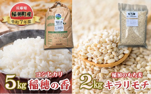 米セット コシヒカリ 稲穂の香 5kg 稲加のもち麦 キラリモチ 2kg セット 詰め合わせ 米 精米 白米 お米 こめ コメ 最高級米 ご飯 ごはん もち麦 国産 大麦 食物繊維 低糖質 高タンパク 健康 健康食品 ダイエット 兵庫県産 兵庫 兵庫県 稲美町 1533576 - 兵庫県稲美町