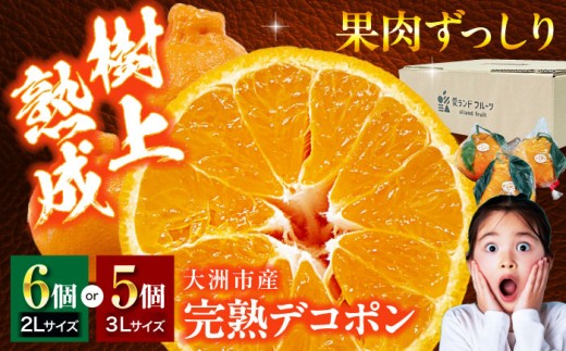 【先行予約】【3月下旬から順次発送】樹の上で熟成！ 愛媛県大洲市産「完熟デコポン」5～6個 愛媛県大洲市/株式会社フジ・アグリフーズ [AGBA008] 先行予約 みかん ミカン 蜜柑 でこぽん デコポン 果物 くだもの フルーツ 愛媛県産 大洲市産 産地直送 おすすめ 人気 お取り寄せ 送料無料 贈答 ギフト 994626 - 愛媛県大洲市