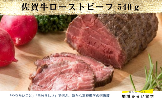 A4 A5 佐賀牛ローストビーフ540g
