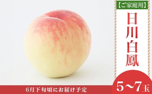 【ご家庭用】岡山の桃 日川白鳳 5～7玉【2026年6月下旬頃から順次発送】 1113677 - 岡山県井原市