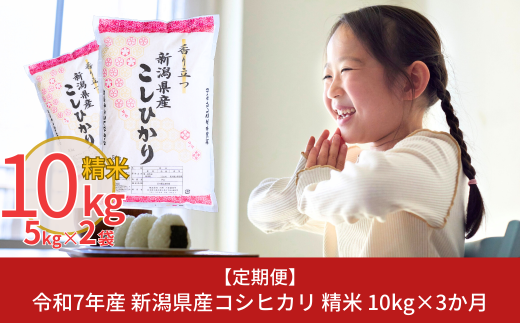 新米 先行予約 [定期便10kg×3ヶ月] 令和7年産 新潟県産コシヒカリ（こしひかり）計30kg 3か月（3ヵ月）連続でお届け [株式会社白熊]【038S004】 868249 - 新潟県三条市