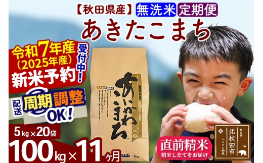 ※令和7年産 新米予約※《定期便11ヶ月》秋田県産 あきたこまち 100kg【無洗米】(5kg小分け袋) 2025年産 お届け時期選べる お届け周期調整可能 隔月に調整OK お米 藤岡農産