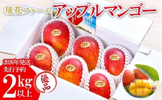 【2026年発送先行予約】アップルマンゴー優品2kg以上 沖縄 おきなわ まんごー 優品 家庭用 先行予約 ふるさと納税 送料無料 甘味 糖度 おいしい お土産 アーウィン 果物 くだもの 果実 2キロ 箱入り 食べ物 フルーツ 809502 - 沖縄県名護市