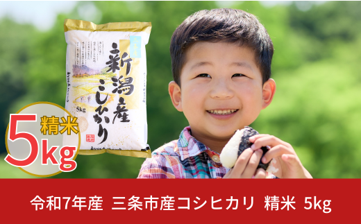 新米 先行予約 新潟県三条市産 コシヒカリ 5kg こしひかり 令和7年産 米 [株式会社白熊] 【010S099】 868239 - 新潟県三条市