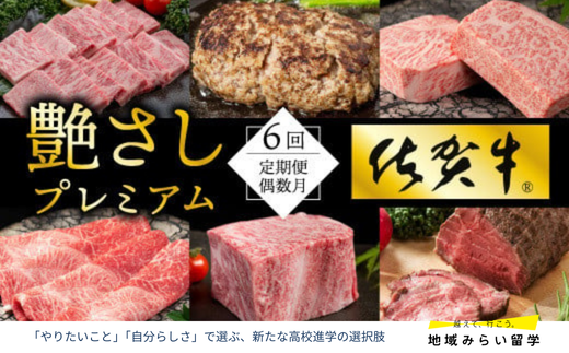 [定期便セット]佐賀牛を隔月偶数月に6回お届け(ロース・ハンバーグ・カルビ・ローストビーフ・サーロイン・しゃぶしゃぶすき焼き用)