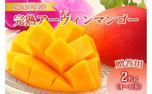 ＜先行予約2026年発送＞宮古島産“完熟アーウィンマンゴー”《贈答用》2kg【福来多まつばらマンゴー園】（MF02） 2177084 - 沖縄県宮古島市