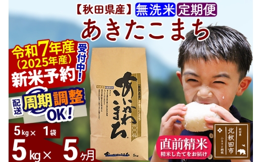 ※令和7年産 新米予約※《定期便5ヶ月》秋田県産 あきたこまち 5kg【無洗米】(5kg小分け袋) 2025年産 お届け時期選べる お届け周期調整可能 隔月に調整OK お米 藤岡農産