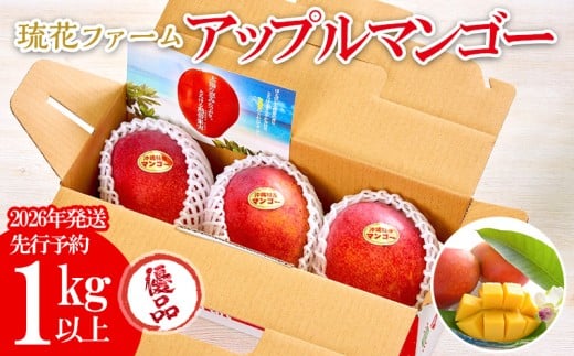 【2026年発送先行予約】アップルマンゴー優品1kg以上 沖縄 おきなわ まんごー 優品 家庭用 先行予約 ふるさと納税 送料無料 甘味 糖度 おいしい お土産 アーウィン 果物 くだもの 果実 1キロ 箱入り 食べ物 フルーツ 809501 - 沖縄県名護市