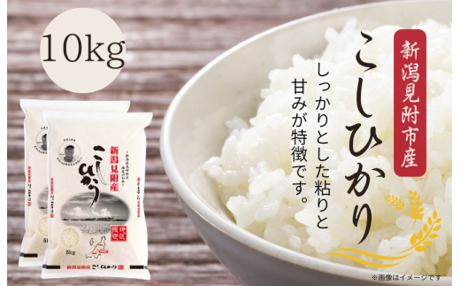 令和7年産 新潟見附市産コシヒカリ10kg（5kg×2） 2296251 - 新潟県見附市