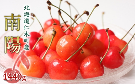 先行受付 北海道 仁木町産 さくらんぼ 南陽 1440g(180g×8パック)旬 厳選 蓋つき お裾分け おすすめ 美味しい サクランボ チェリー フルーツ 果物 果物類 仁木町 仁木 [JA新おたる]